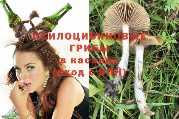 кокс Алзамай