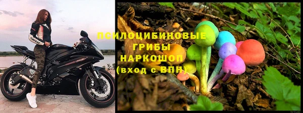 дживик Алексин