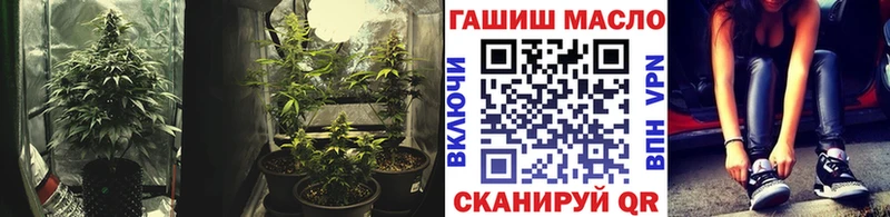MEGA ссылка  нарко площадка какой сайт  ТГК гашишное масло  Чапаевск 