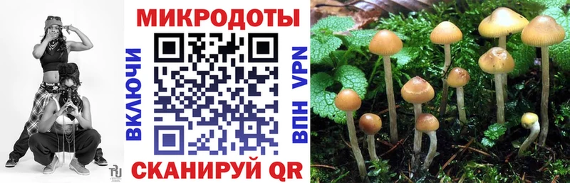Псилоцибиновые грибы мицелий  как найти закладки  Чапаевск 